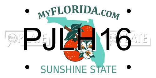 PJLH16 Florida License Plate
