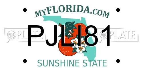 PJLI81 Florida License Plate