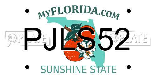 PJLS52 Florida License Plate