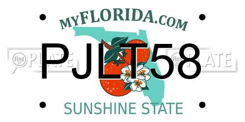 PJLT58 Florida License Plate