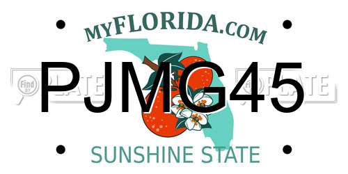 PJMG45 Florida License Plate