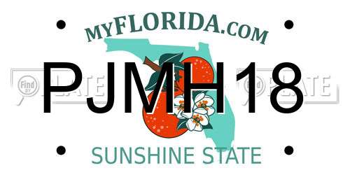PJMH18 Florida License Plate