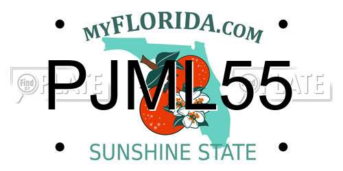 PJML55 Florida License Plate