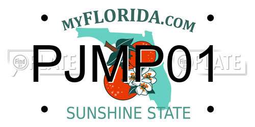 PJMP01 Florida License Plate