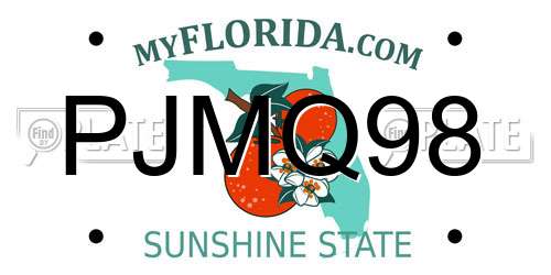 PJMQ98 Florida License Plate