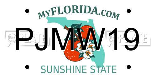 PJMW19 Florida License Plate