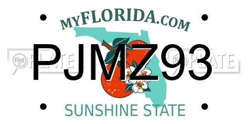 PJMZ93 Florida License Plate