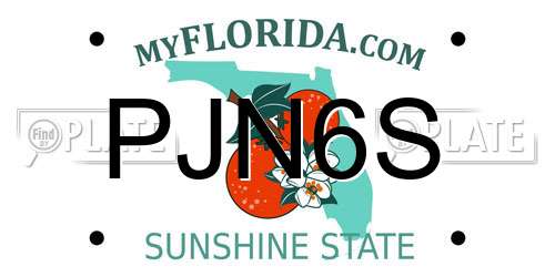 PJN6S Florida License Plate