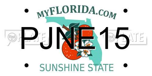 PJNE15 Florida License Plate