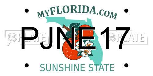 PJNE17 Florida License Plate