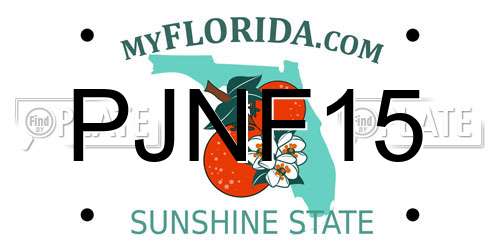 PJNF15 Florida License Plate