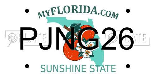PJNG26 Florida License Plate