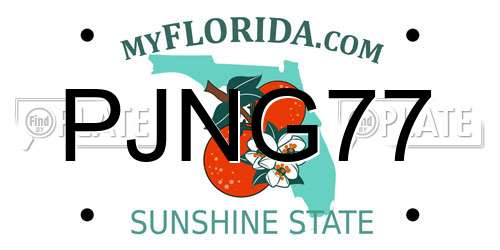 PJNG77 Florida License Plate