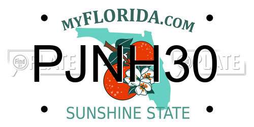 PJNH30 Florida License Plate