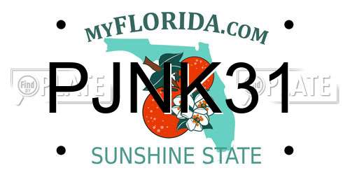 PJNK31 Florida License Plate