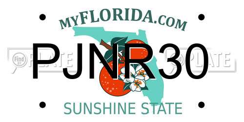 PJNR30 Florida License Plate