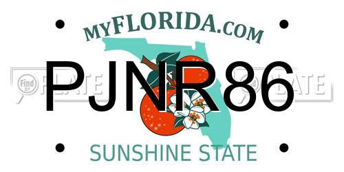 PJNR86 Florida License Plate