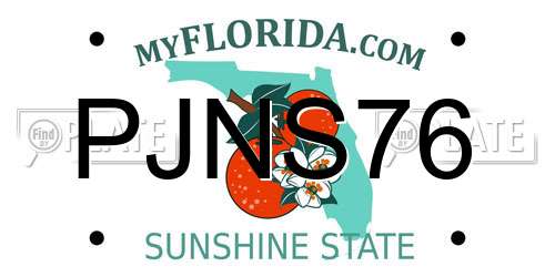 PJNS76 Florida License Plate