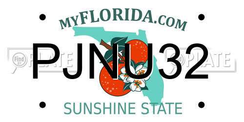 PJNU32 Florida License Plate