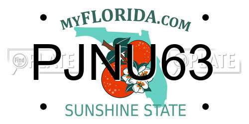 PJNU63 Florida License Plate
