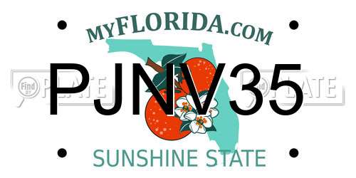 PJNV35 Florida License Plate
