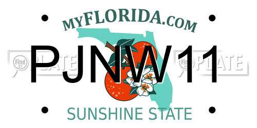 PJNW11 Florida License Plate