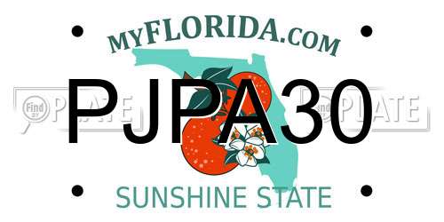 PJPA30 Florida License Plate