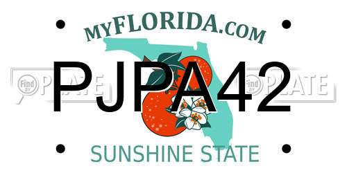 PJPA42 Florida License Plate