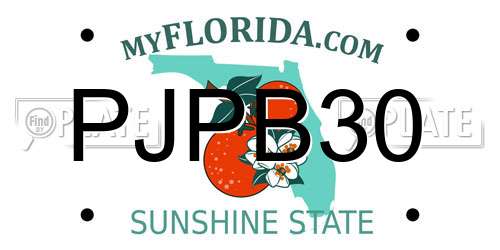 PJPB30 Florida License Plate