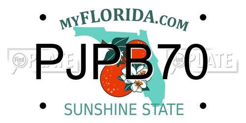 PJPB70 Florida License Plate