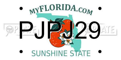 PJPJ29 Florida License Plate