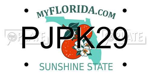 PJPK29 Florida License Plate