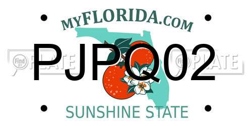 PJPQ02 Florida License Plate