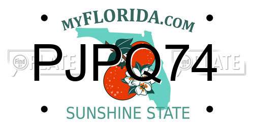 PJPQ74 Florida License Plate