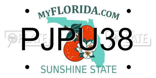 PJPU38 Florida License Plate