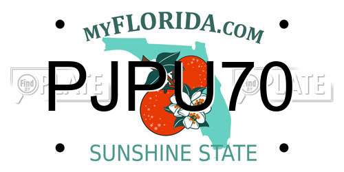 PJPU70 Florida License Plate