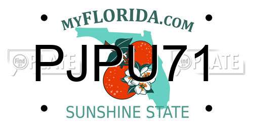 PJPU71 Florida License Plate