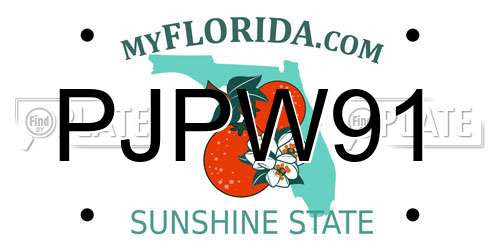PJPW91 Florida License Plate