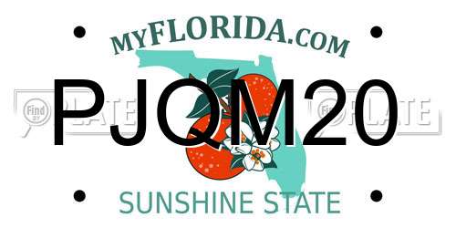 PJQM20 Florida License Plate