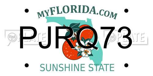 PJRQ73 Florida License Plate