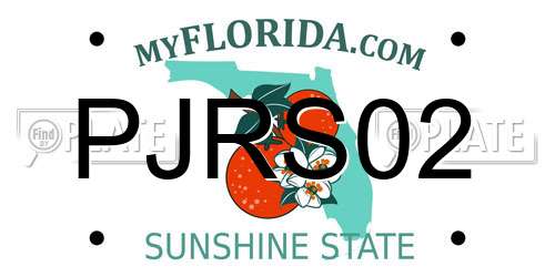 PJRS02 Florida License Plate