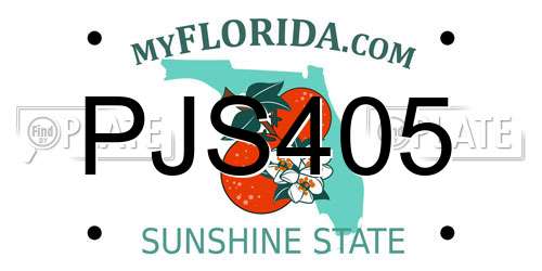PJS405 Florida License Plate
