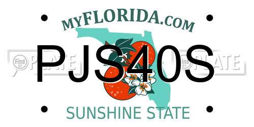PJS40S Florida License Plate