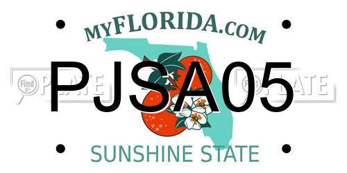 PJSA05 Florida License Plate