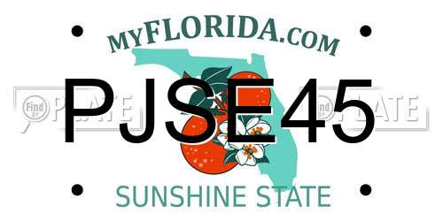 PJSE45 Florida License Plate