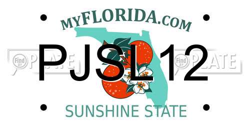 PJSL12 Florida License Plate