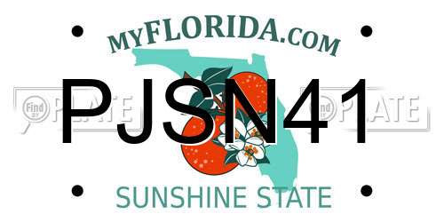 PJSN41 Florida License Plate