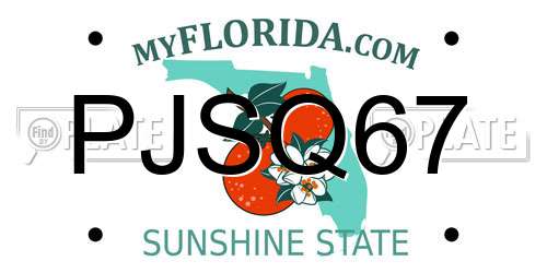 PJSQ67 Florida License Plate