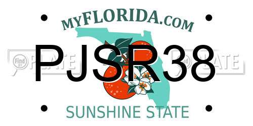 PJSR38 Florida License Plate