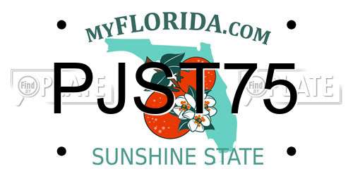 PJST75 Florida License Plate